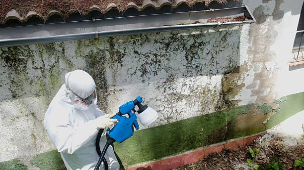 Top rated local Attic Mold Remediation specialists in Churchville, MD
